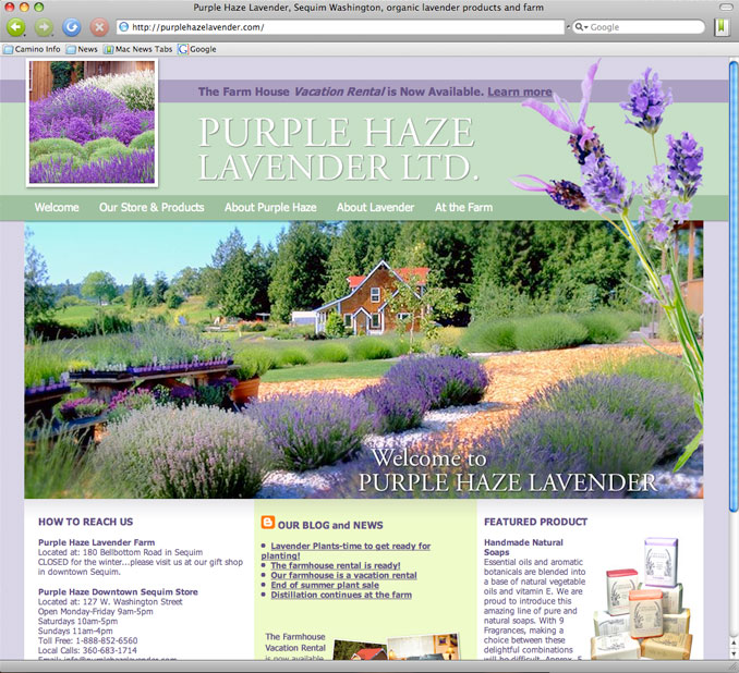 purple haze lavender website