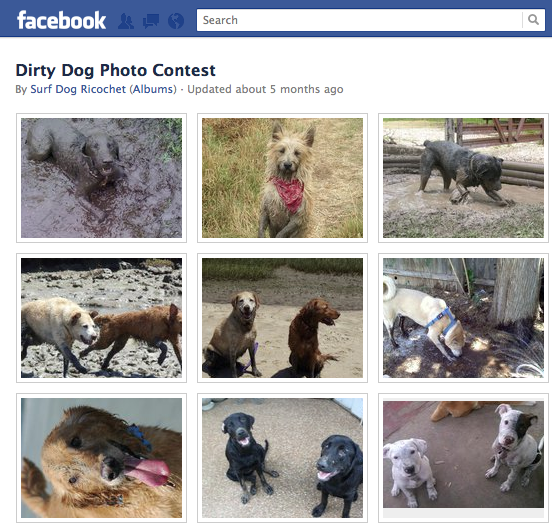 dirty-dog-photo