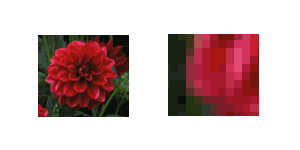 raster-image-example Raster image of a flower looks like a mosaic of squares up close.